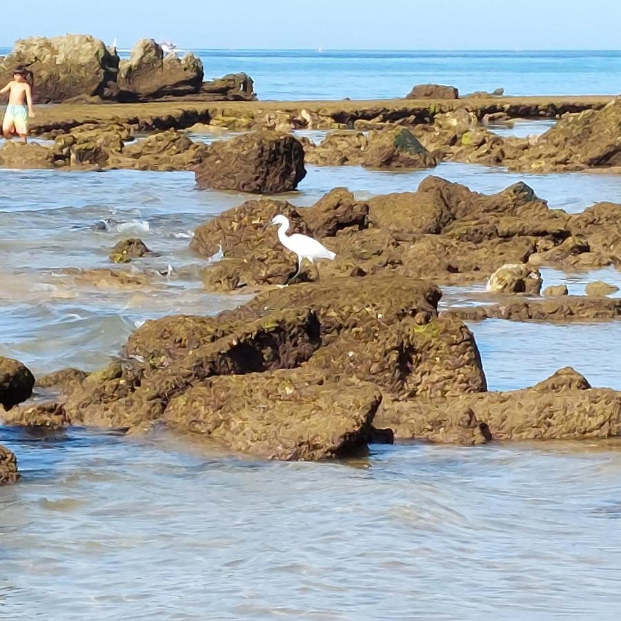 Paradise In Olhos D'Agua Beach アルブフェイラ エクステリア 写真